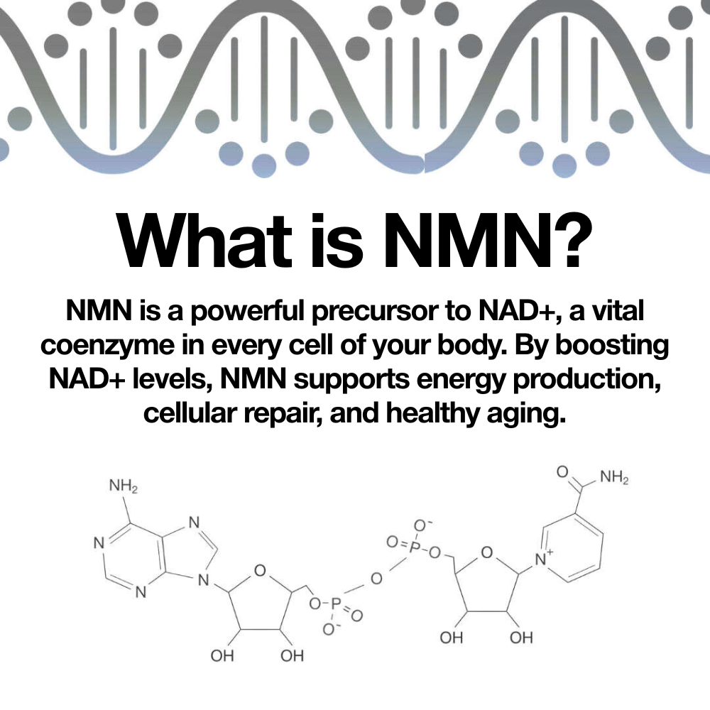 Nurecover® Pure NMN 500 mg kapslar